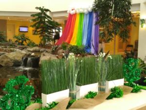 Orchard View's St.Patty's Day 2017- Our Rainbow over the pond